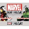 Marvel Hulk Iron manBartop